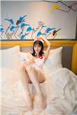 傲骨贤妻第六季
