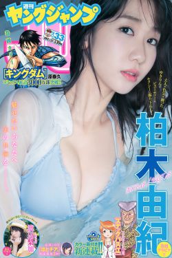 重紫电视剧全集40集免费观看