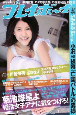 寒风也不及她追书神器