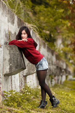 桃花依旧笑春风电视剧免费观看